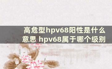 高危型hpv68阳性是什么意思 hpv68属于哪个级别